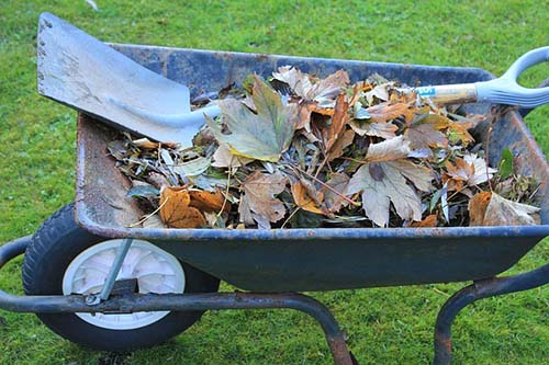 grapevine-mowing-guys-leaf-cleanup